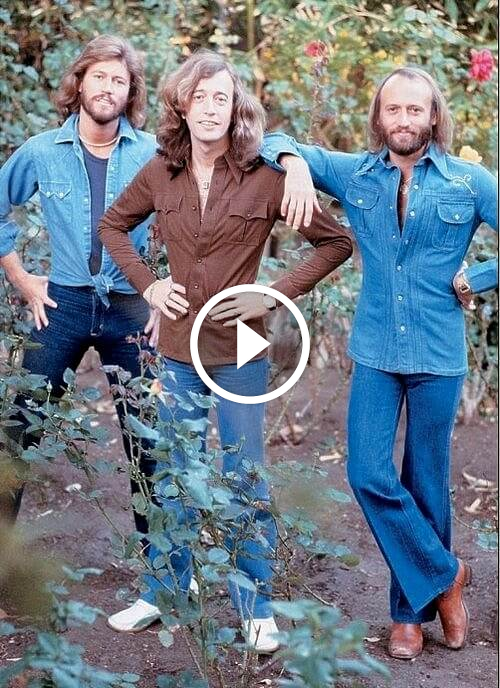 Bee Gees – Morning Of My Life Bee Gees – Morning Of My Life