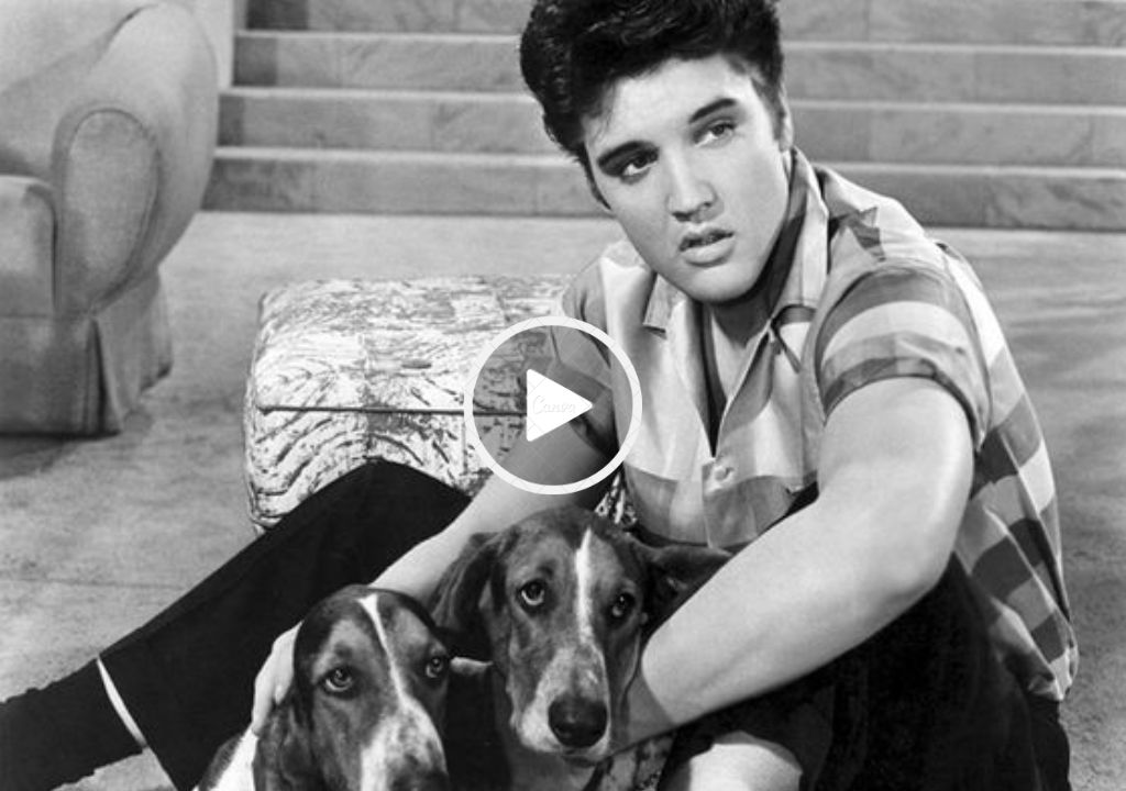 The Howlin’ Hit: Elvis Presley’s ‘Hound Dog’ The Howlin’ Hit: Elvis Presley’s ‘Hound Dog’