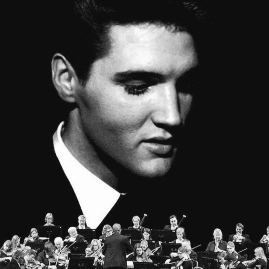 Steamroller Blues – The King’s Soulful Anthem of Heartbreak Elvis Presley Steamroller Blues – The King’s Soulful Anthem of Heartbreak Elvis Presley