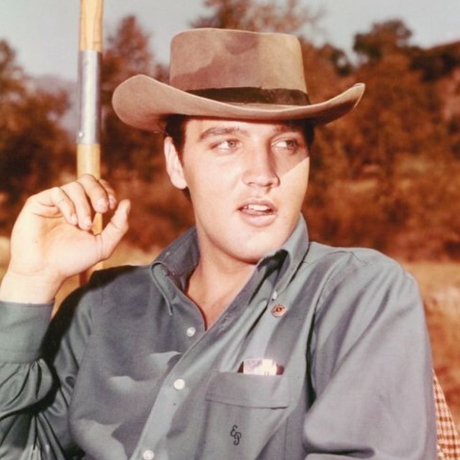 Elvis Presley – When My Blue Moon Turns To Gold Again Elvis Presley – When My Blue Moon Turns To Gold Again