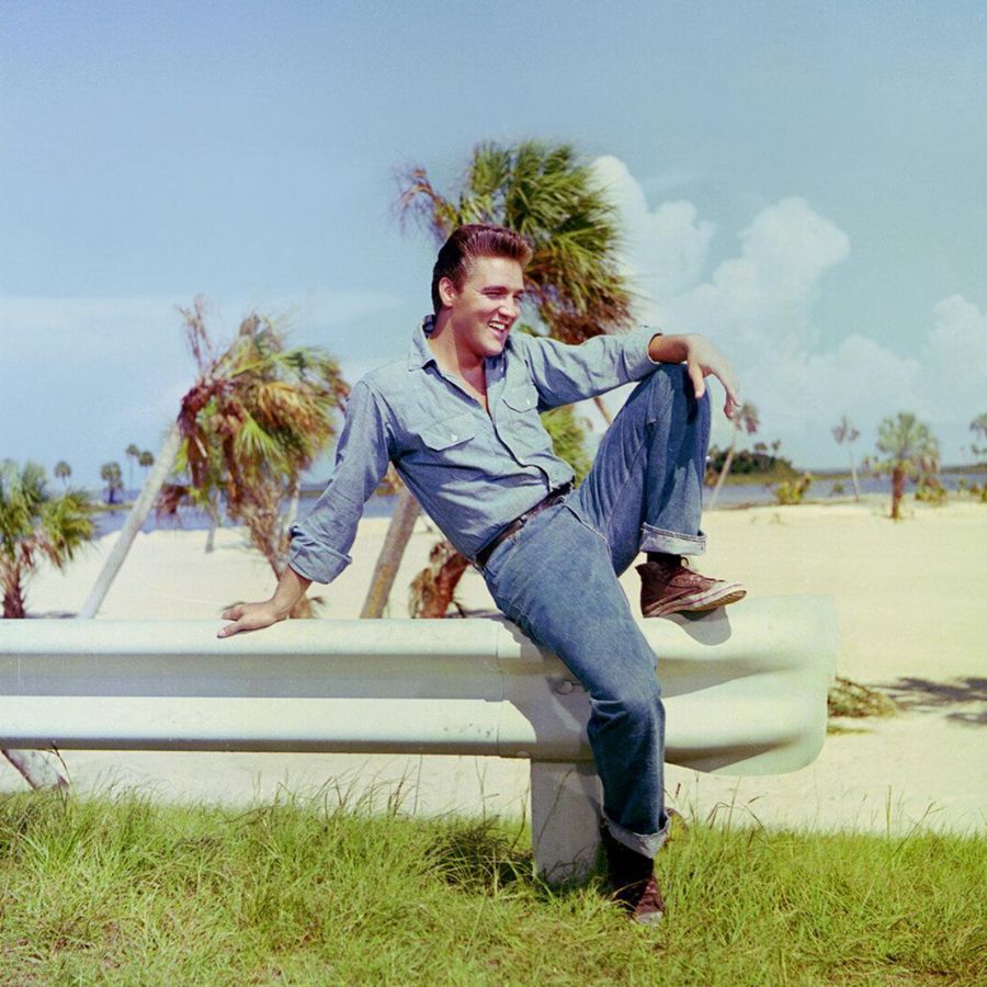 Paralyzed · Elvis Presley