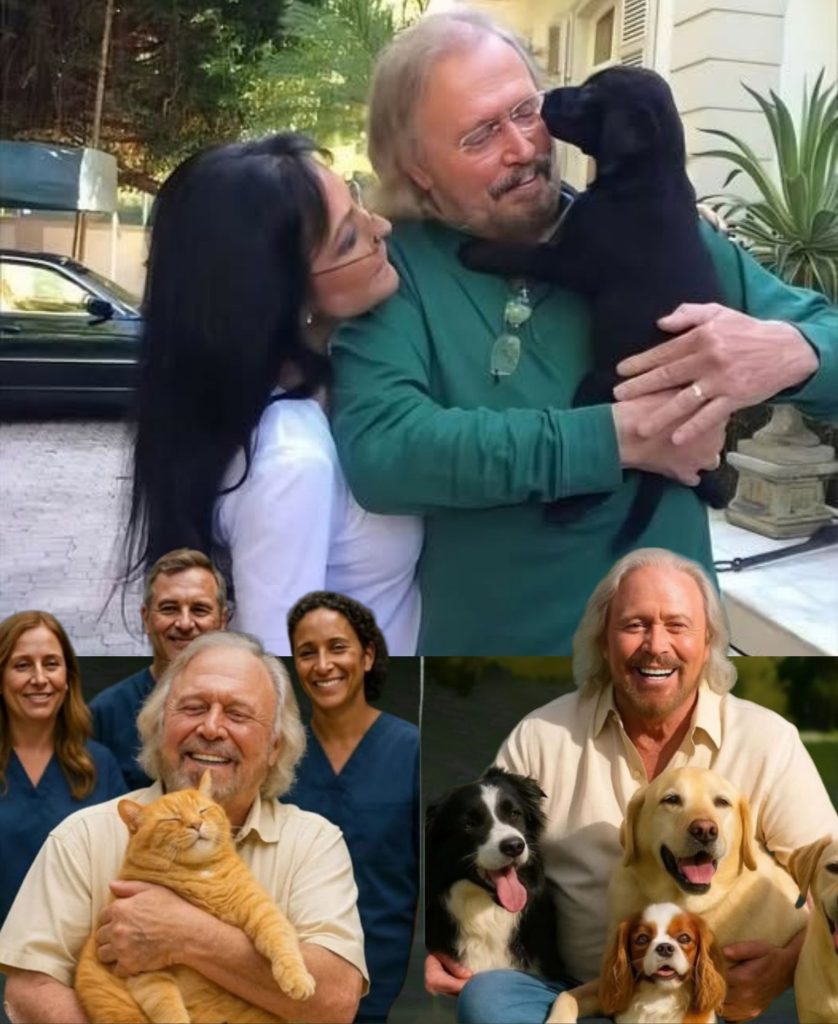 BREAKING NEWS: Barry Gibb Has Just Set the Internet Ablaze With a Stunning £10 Million Commitment to Create a Luxurious “Paradise” for Stray Dogs and Cats — Featuring Sunlit Gardens, Charming Villas, and Round-the-Clock Care. The Music Icon Pledges to Rescue Thousands of Abandoned Animals, Vowing They Will Finally Experience Love, Safety, and a Forever Home… And the Deeply Personal Story Driving His Mission Will Shatter Your Heart! WATCH FULL BELOW BREAKING NEWS: Barry Gibb Has Just Set the Internet Ablaze With a Stunning £10 Million Commitment to Create a Luxurious “Paradise” for Stray Dogs and Cats — Featuring Sunlit Gardens, Charming Villas, and Round-the-Clock Care. The Music Icon Pledges to Rescue Thousands of Abandoned Animals, Vowing They Will Finally Experience Love, Safety, and a Forever Home… And the Deeply Personal Story Driving His Mission Will Shatter Your Heart! WATCH FULL BELOW