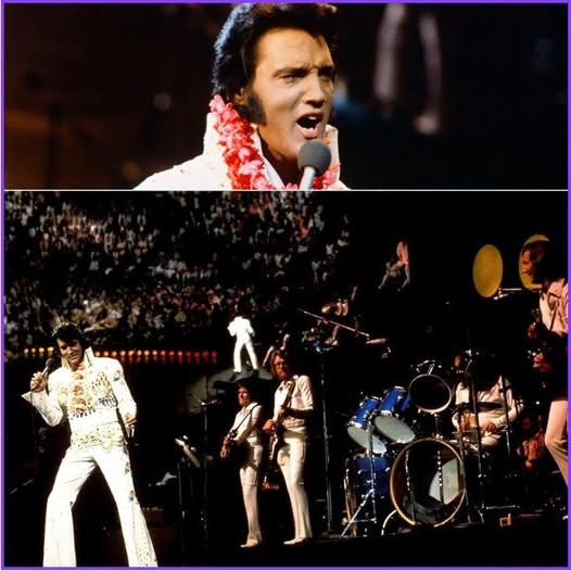 The Night Elvis Presley Shocked Fans on Stage…You Won’t Believe What Happened! The Night Elvis Presley Shocked Fans on Stage…You Won’t Believe What Happened!