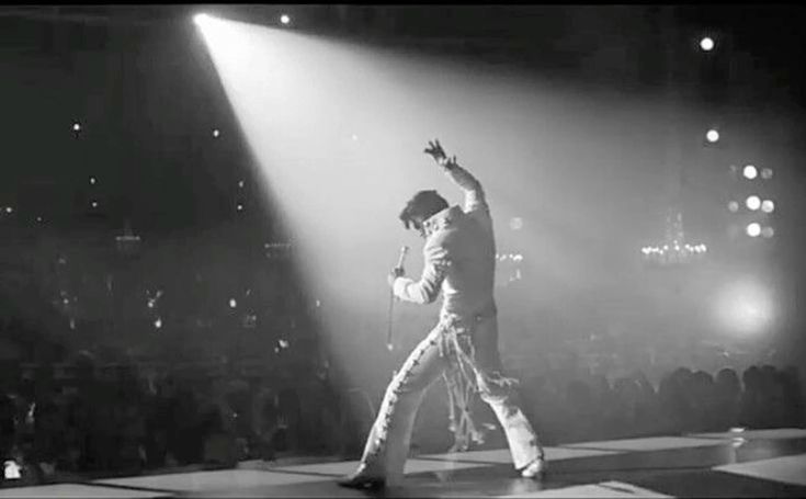 Hình ảnh Ghim câu chuyện